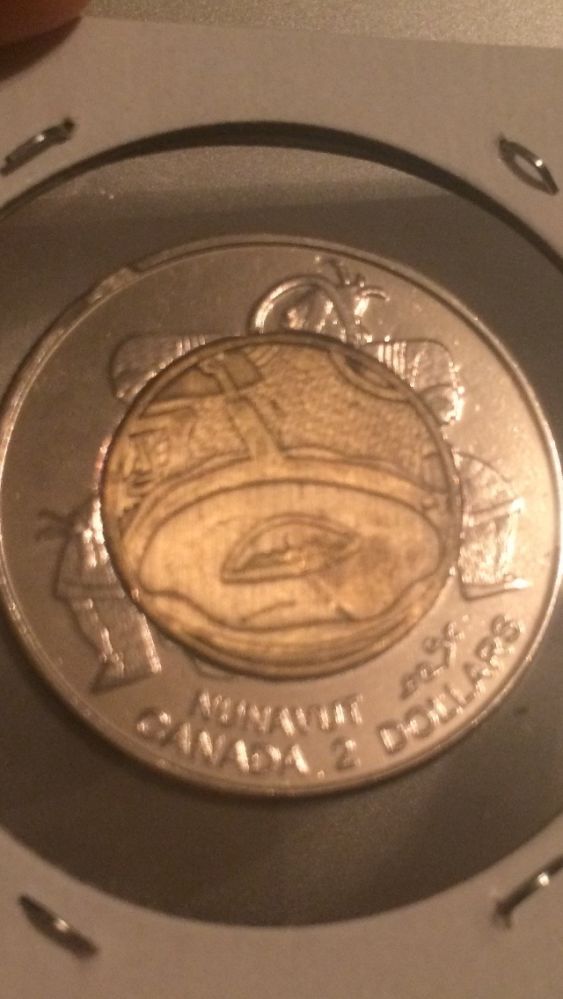 1999-Toonie.....counterfeit?