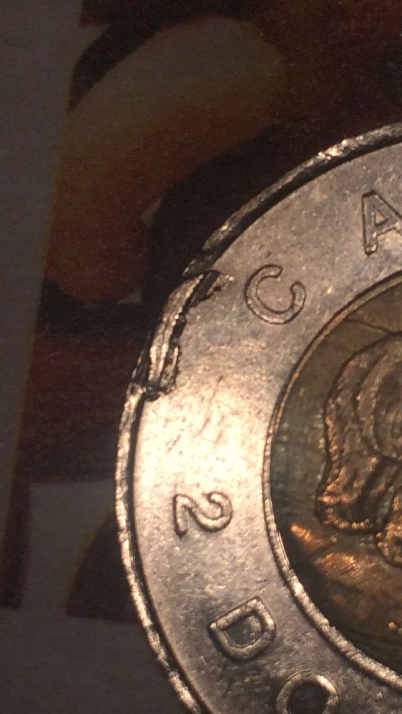 Help-Needed!-Toonie-Error-Or-PMD?