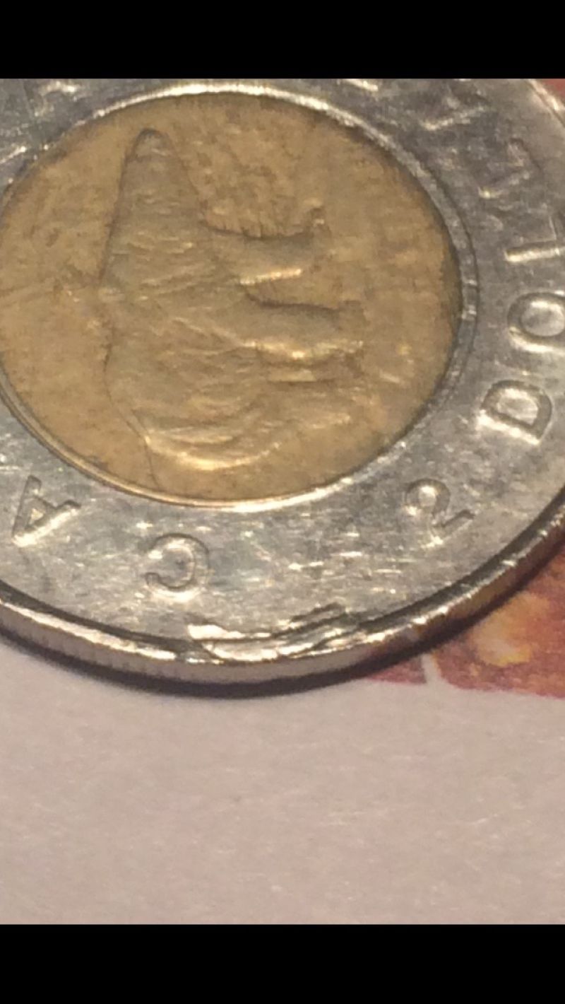 Help-Needed!-Toonie-Error-Or-PMD?