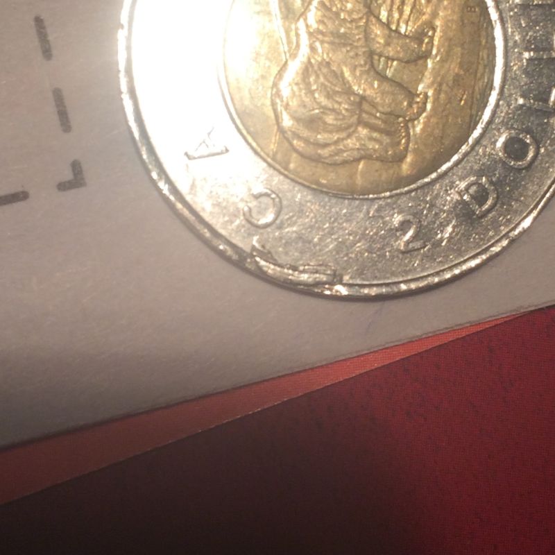 Help-Needed!-Toonie-Error-Or-PMD?