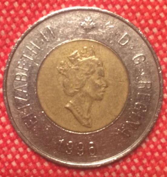 Help-Needed!-Toonie-Error-Or-PMD?