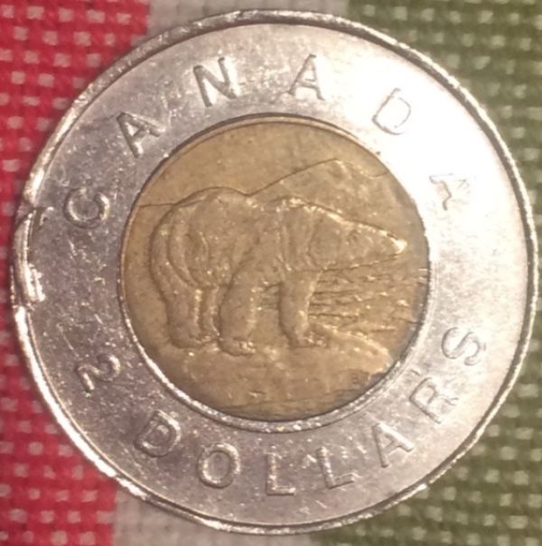 Help-Needed!-Toonie-Error-Or-PMD?
