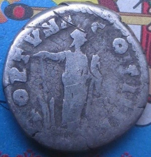 Worth-Anything?-Help-Needed