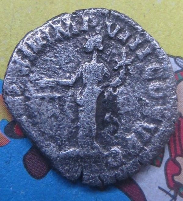 Worth-Anything?-Help-Needed