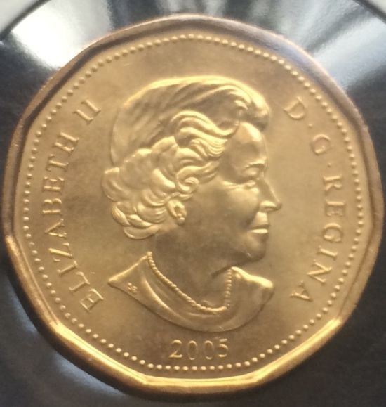 2005-Loonie-Grade/Value?