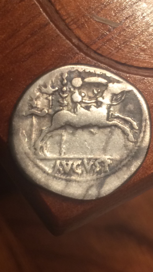 Post-Your-Most-Recent-Silver-Denarius-Purchases!