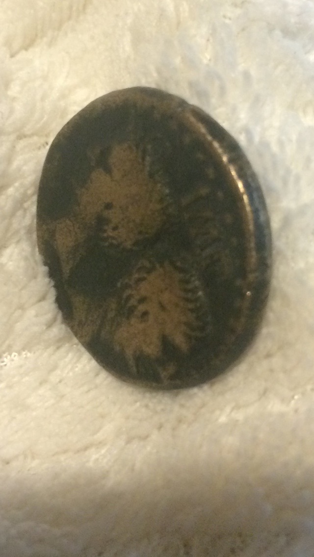 Authentic?-Augustus-And-Agrippa-Brass-Dupondius?