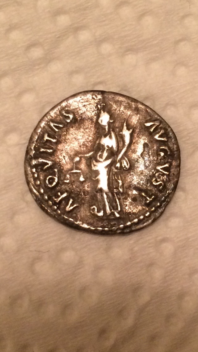 New-Purchase/Minor-Restoration---Nerva