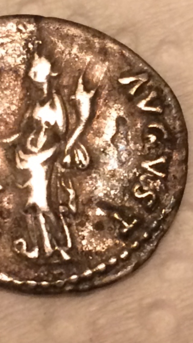 New-Purchase/Minor-Restoration---Nerva