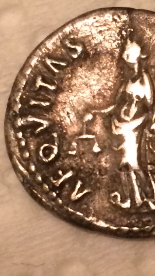 New-Purchase/Minor-Restoration---Nerva