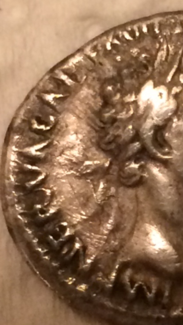 New-Purchase/Minor-Restoration---Nerva
