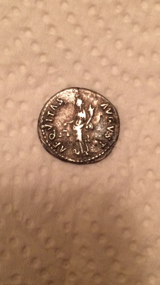 New-Purchase/Minor-Restoration---Nerva