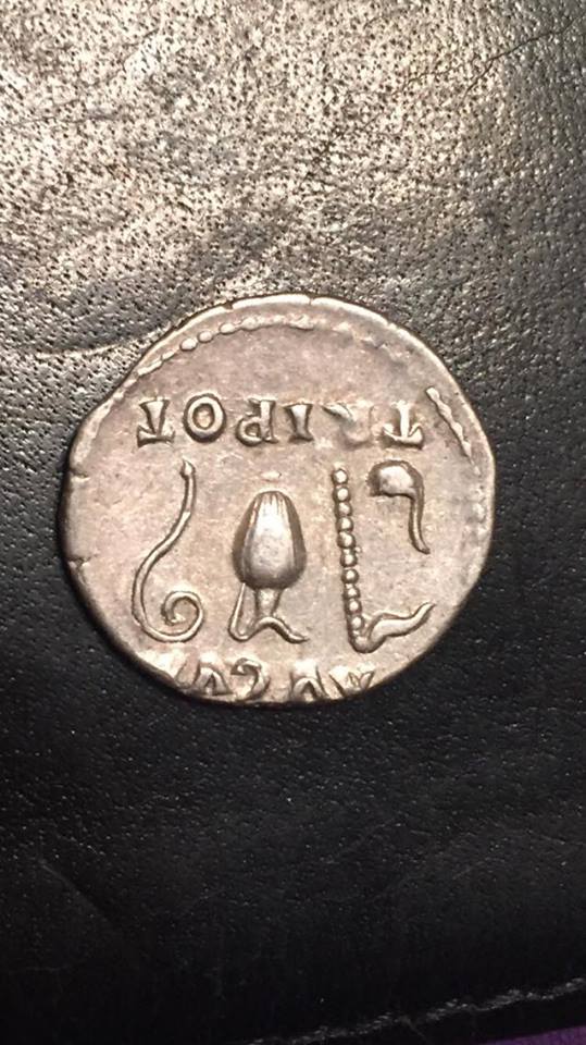 Help-With-Authenticity---Vespasian-Tripot