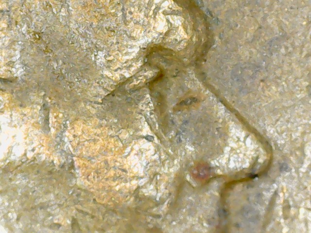 1942-P-Lincoln-Wheat-Penny---Can-You-See-Something?