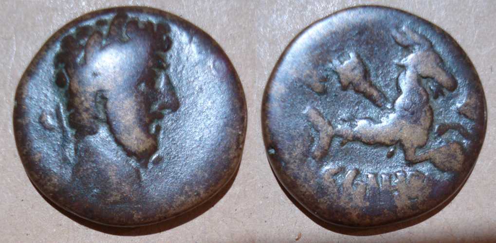 My-First-Animal-On-A-Coin.
