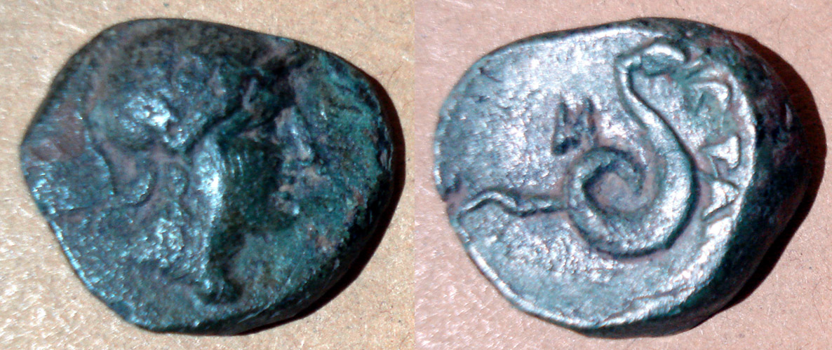 My-First-Animal-On-A-Coin.