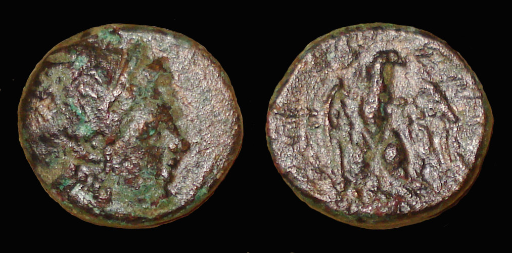 My-First-Animal-On-A-Coin.