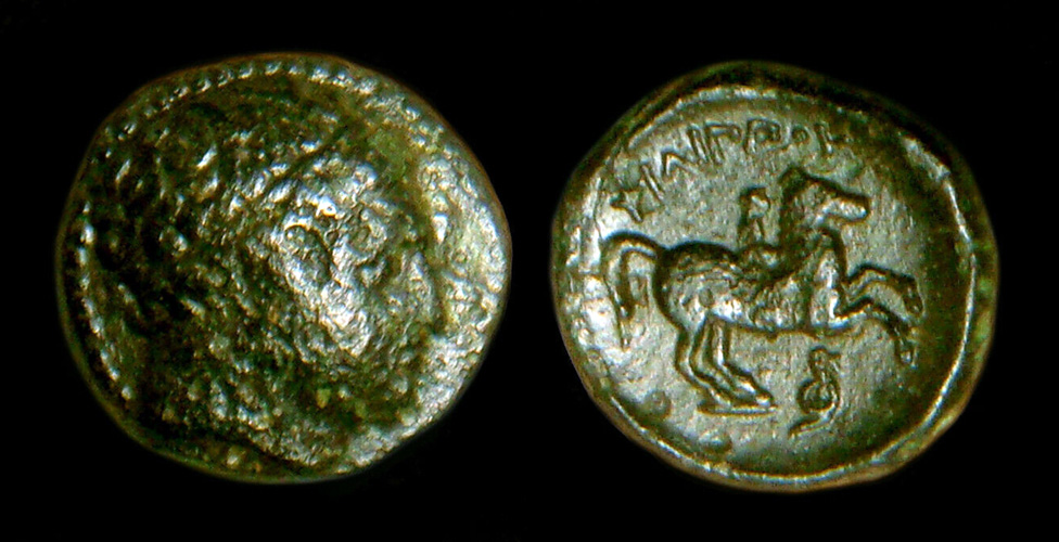 My-First-Animal-On-A-Coin.