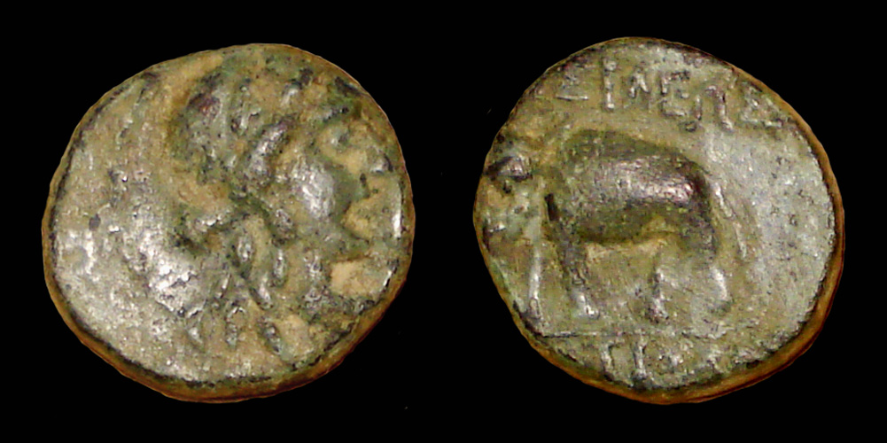 My-First-Animal-On-A-Coin.