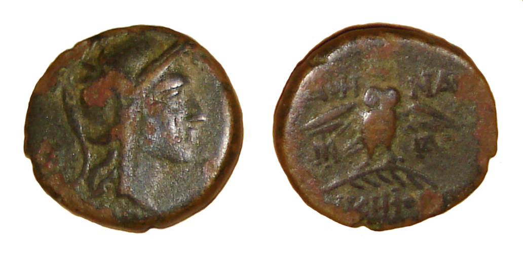 My-First-Animal-On-A-Coin.