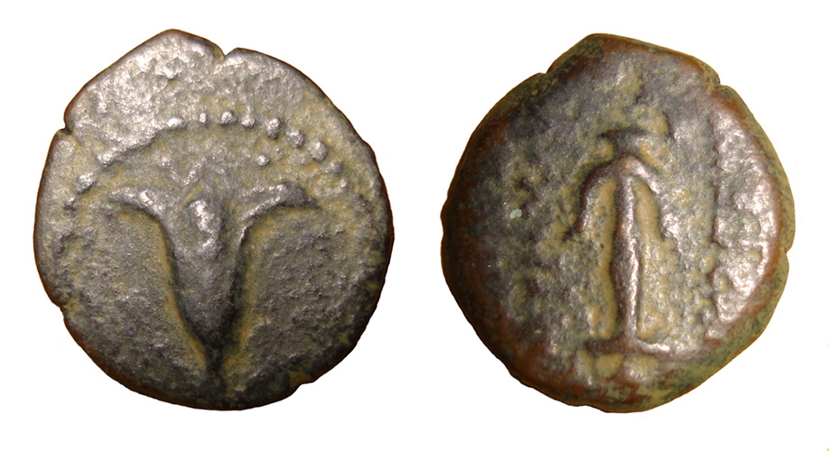 Antiochos-VII-Coin-With-Lily-Reverse.