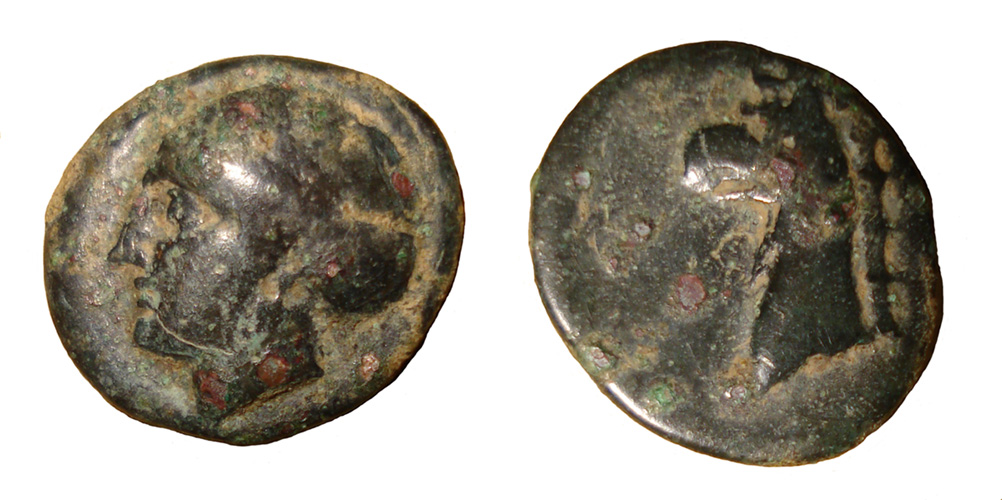 My-First-Animal-On-A-Coin.