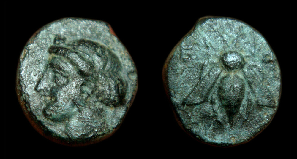 My-First-Animal-On-A-Coin.