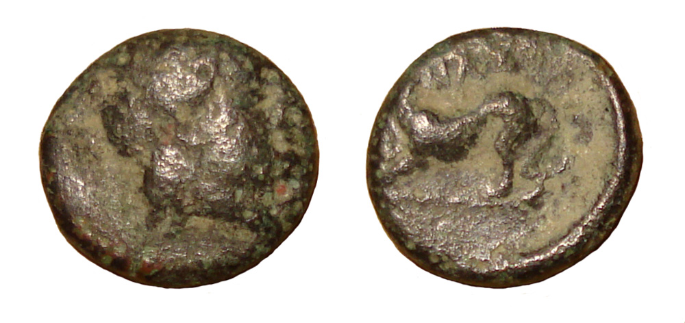 My-First-Animal-On-A-Coin.