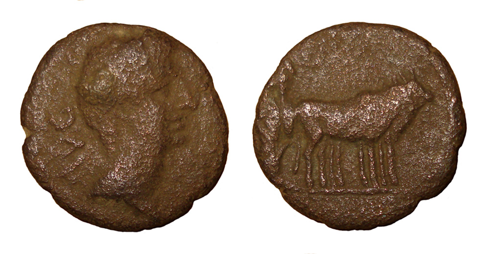 My-First-Animal-On-A-Coin.