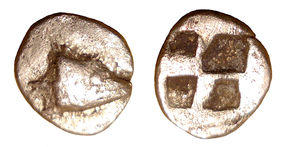 My-First-Animal-On-A-Coin.