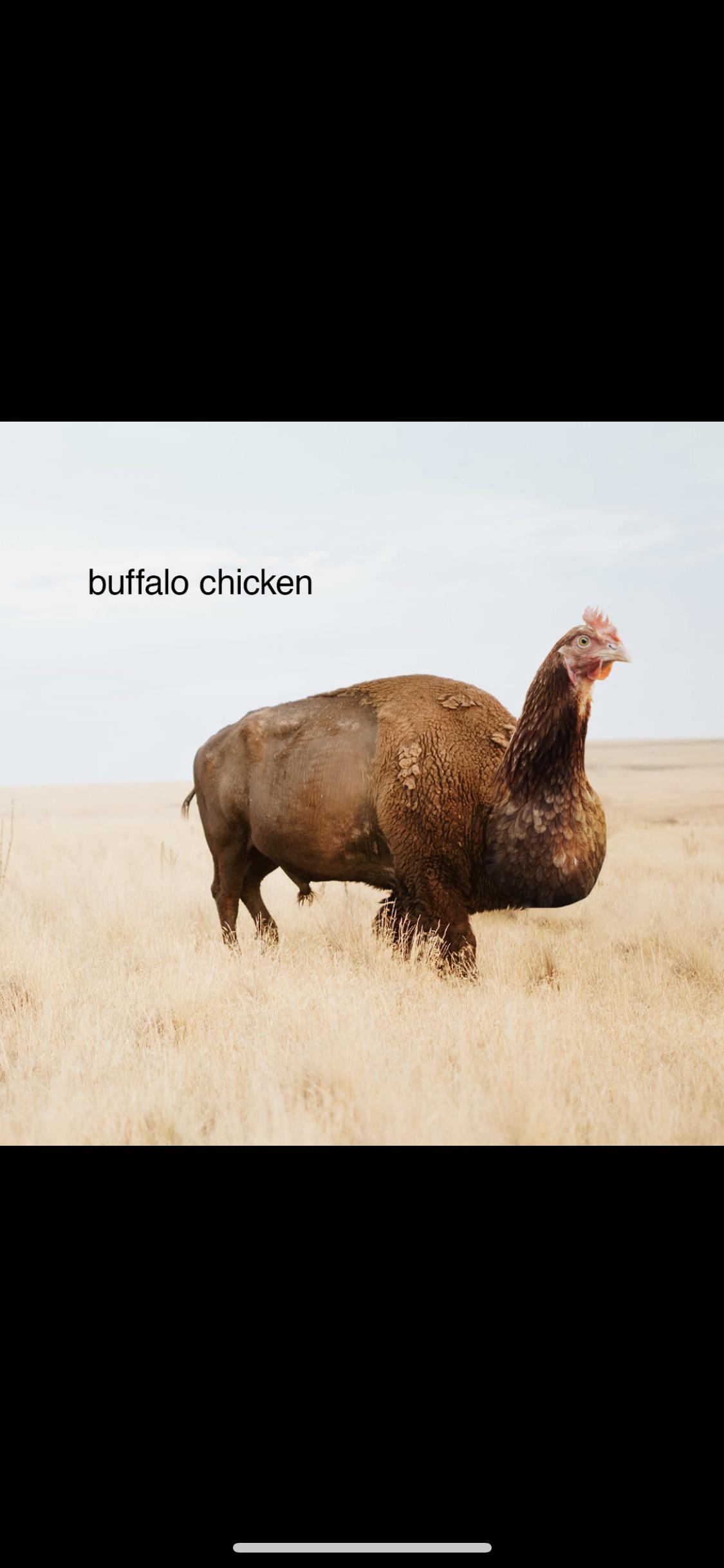 I-Really-Like-Coins-With-A-Bison!