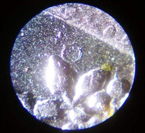 2001-P-Nickel-Die-Anomaly.
