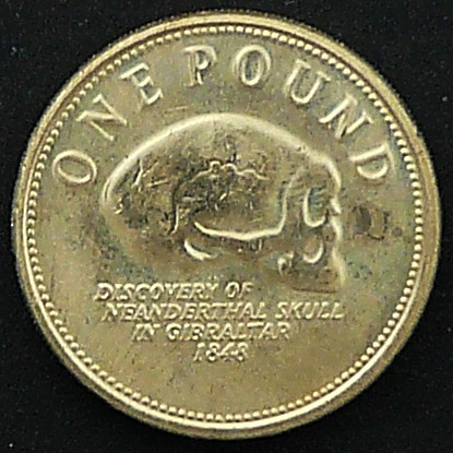 Skulls-On-Coins!-OH-My.