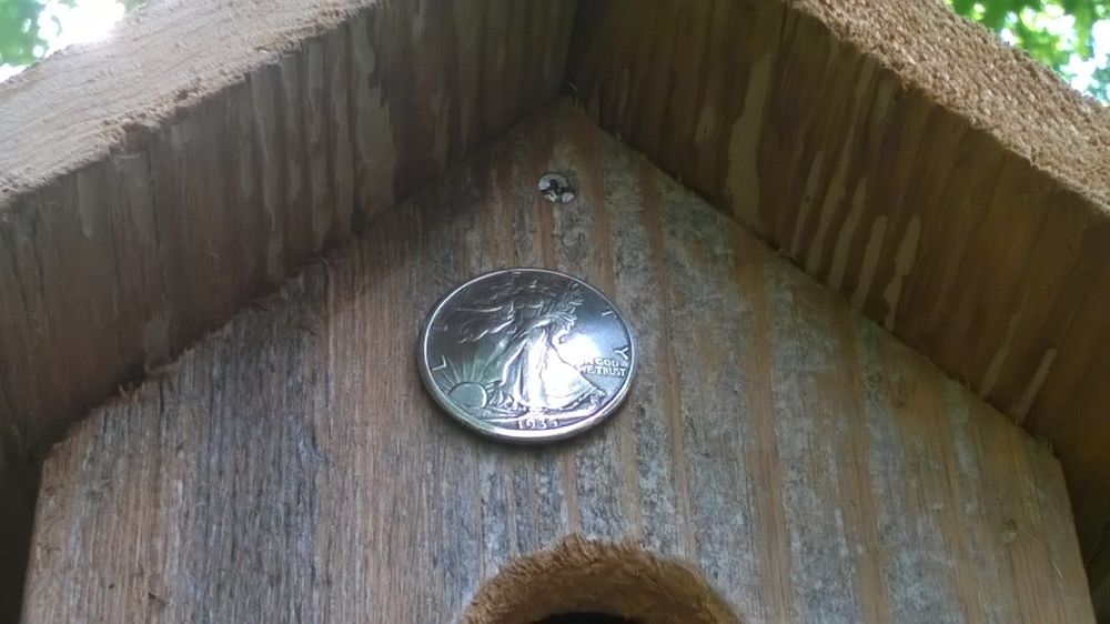 Walkers-On-Birdhouses