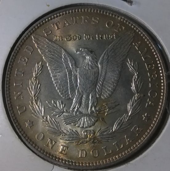 1886-Morgan