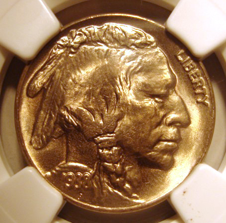 Slabbed-38-D-Buffalo-From-NGC-Coming-Home.-Grade-Question.