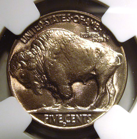 Slabbed-38-D-Buffalo-From-NGC-Coming-Home.-Grade-Question.