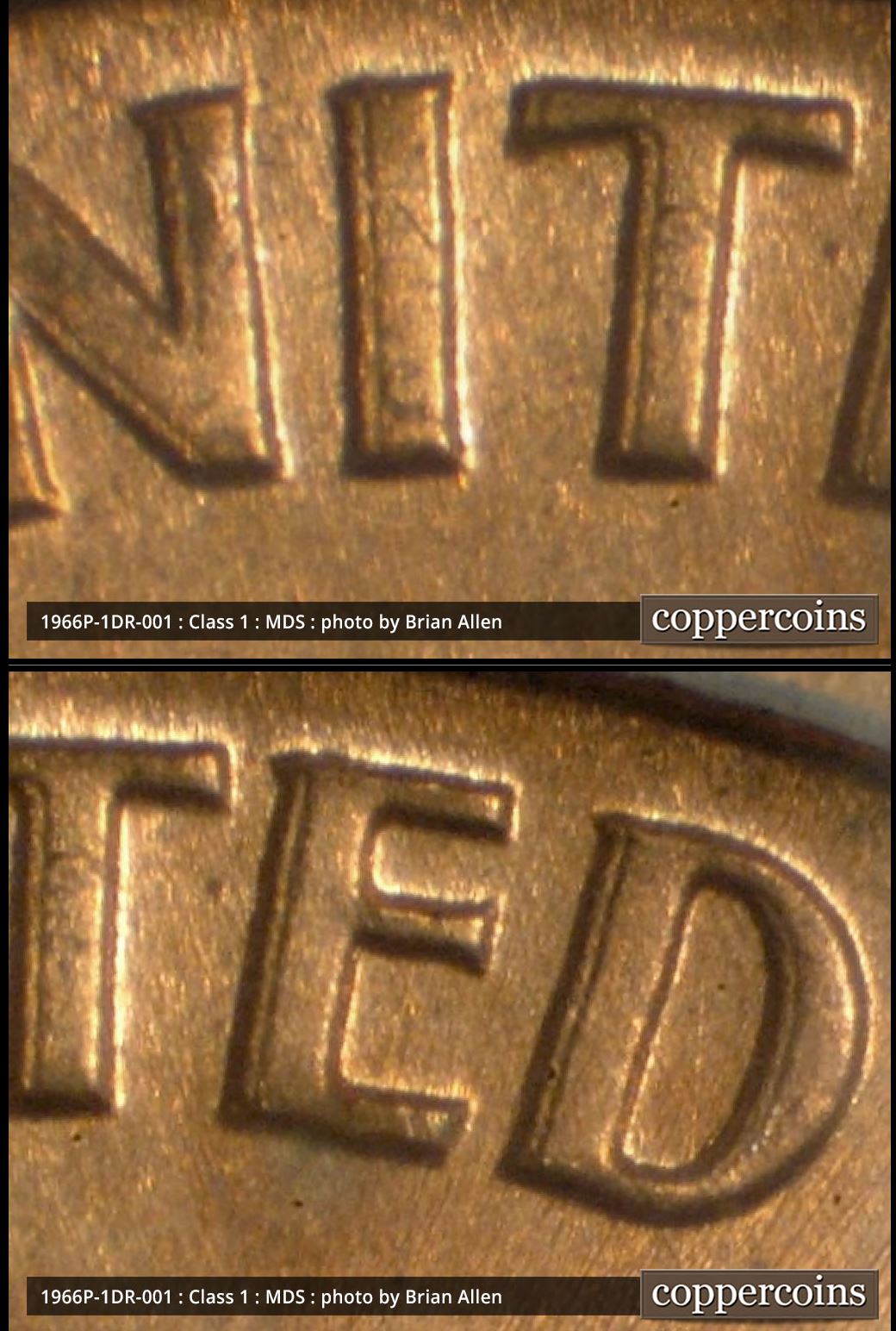 Possible-1966-P-DDR?