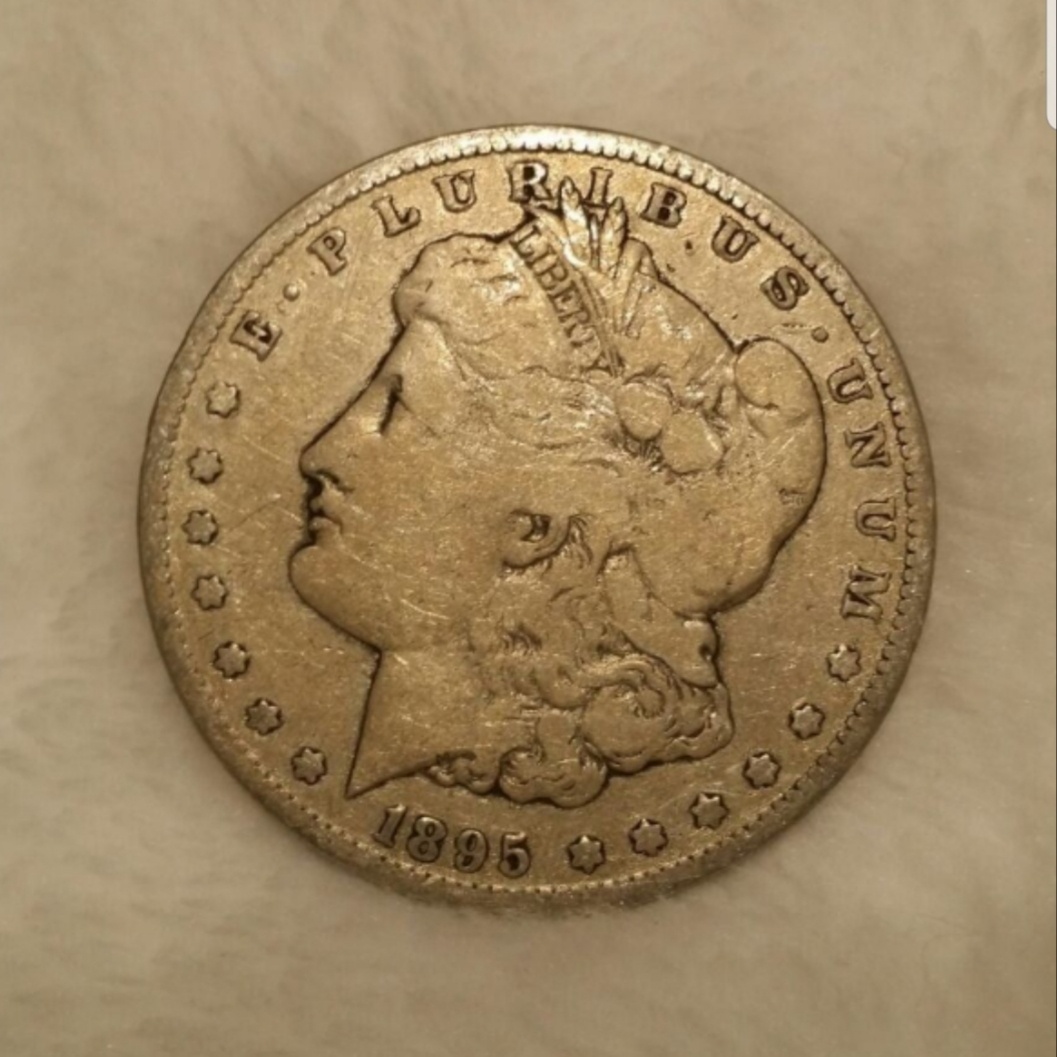 1895-S-Morgan-Real-Or-Fake