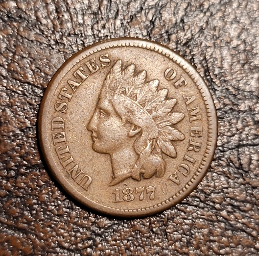 1877-Indian-Head-Cent
