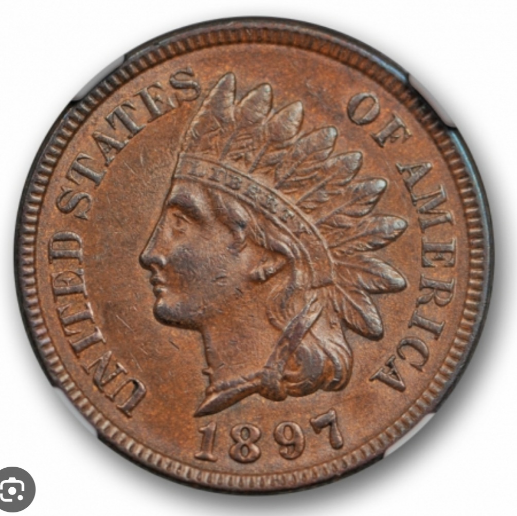 For-Grading---1891-Indian-Head-Cent