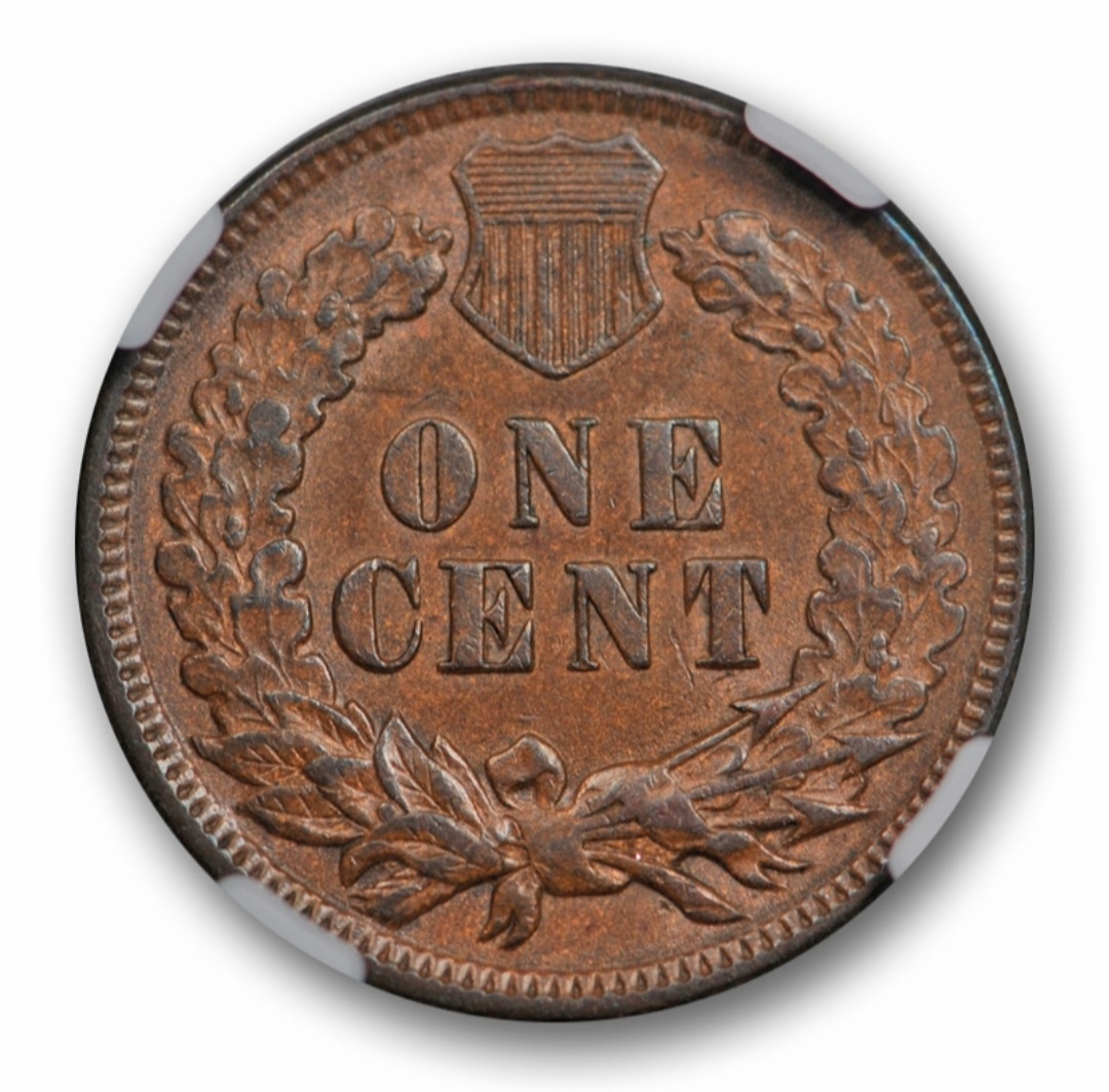 For-Grading---1891-Indian-Head-Cent