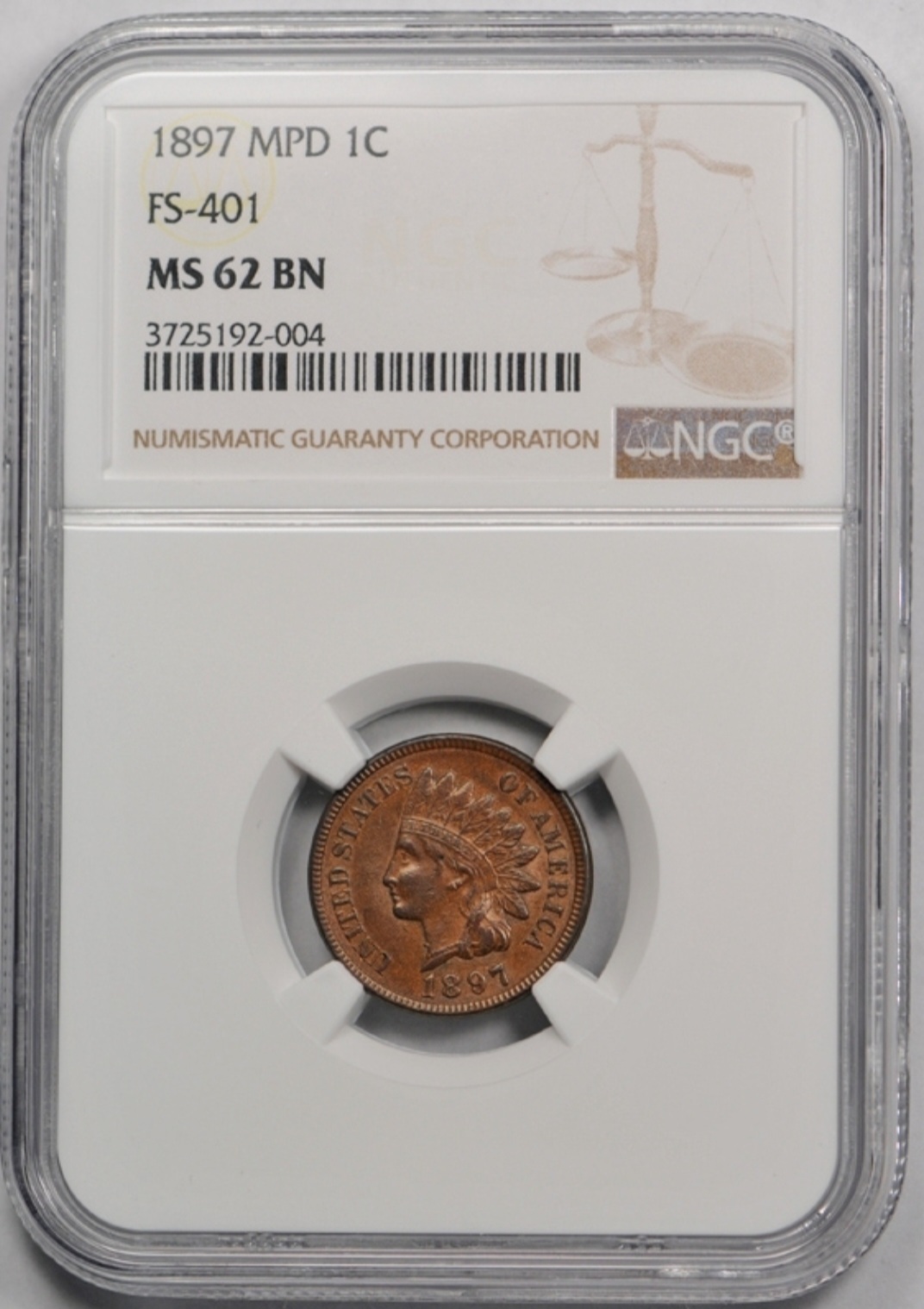 For-Grading---1891-Indian-Head-Cent