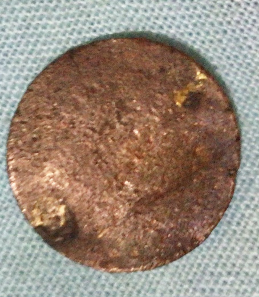 Does-Anyone-Know-What-This-Is?
