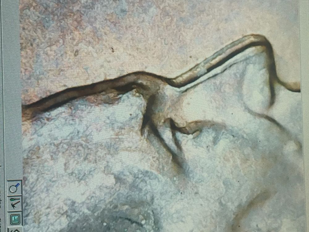 1995-LMC-Triple-MD?