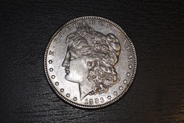 1883-Morgan-Dollar---Grade-Needed!