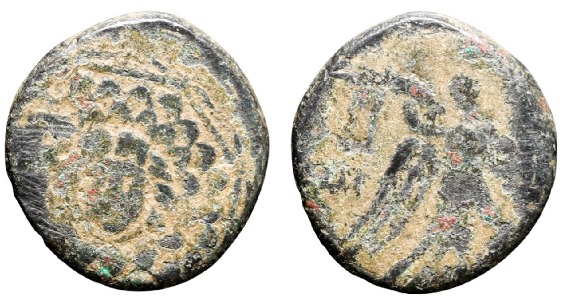 Coin-Of-Pontos,-Amisos