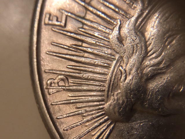 1923-S-Peace-Dollar-Is-This-Considered-DDO?