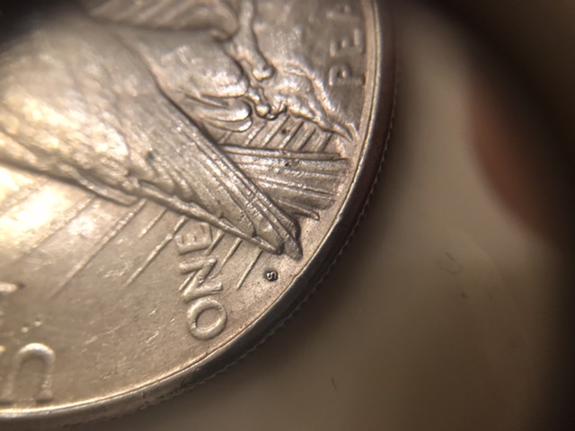 1923-S-Peace-Dollar-Is-This-Considered-DDO?