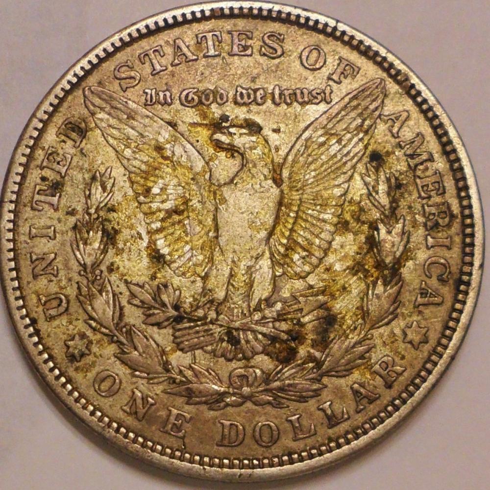 1921-Morgan-Dollar~-Grade-Pleez